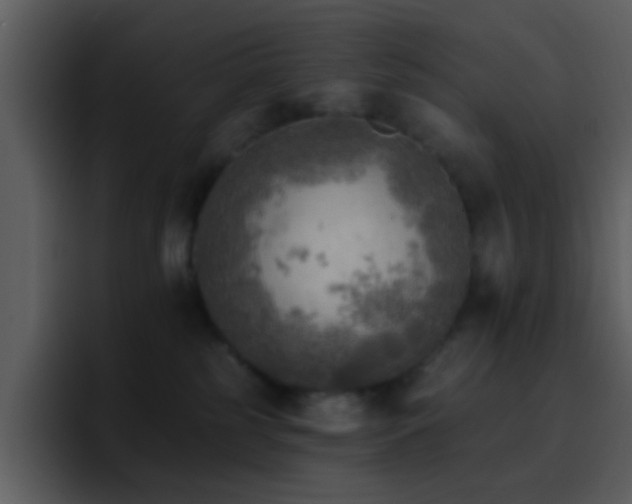 X0000095680185200801081236