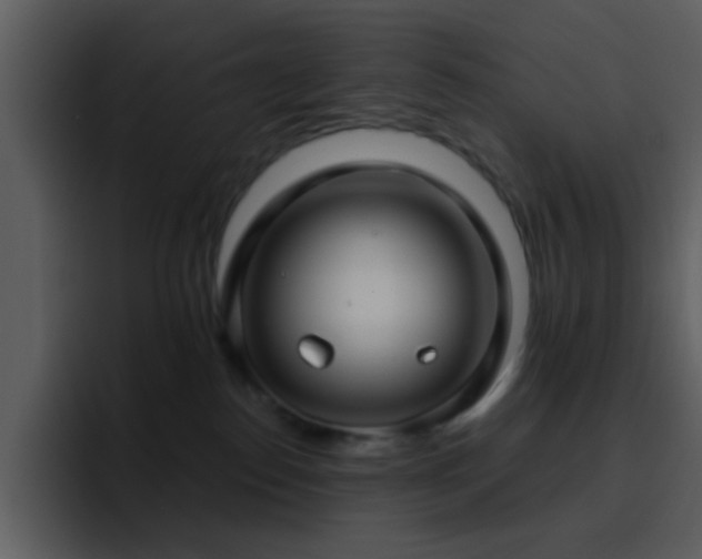 X0000095680186200801081236
