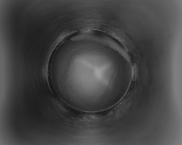 X0000095680195200801081235