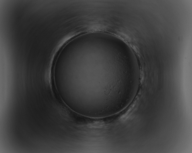 X0000095680196200801081235