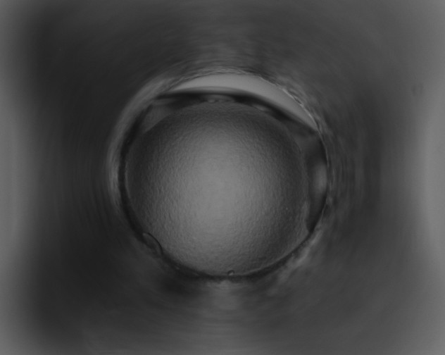 X0000095680197200801081235