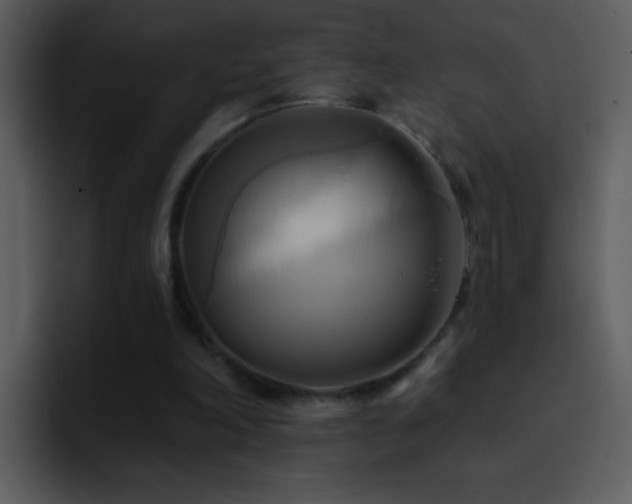 X0000095680198200801081235