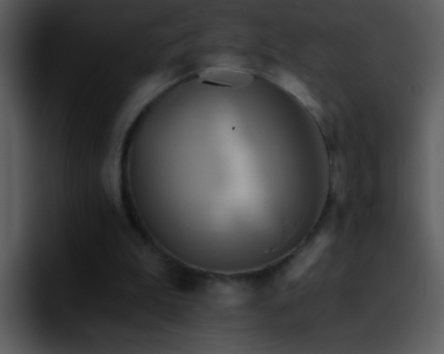 X0000095680199200801081235