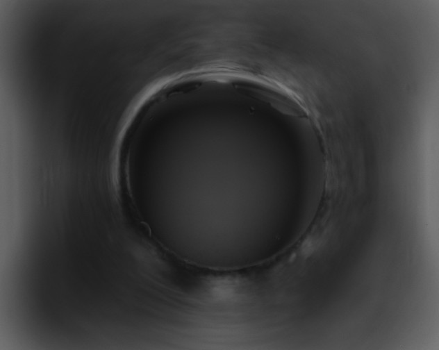 X0000095680200200801081235