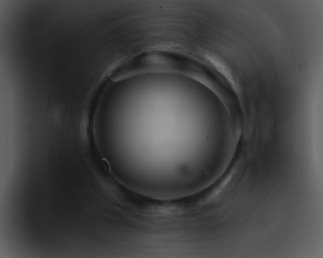 X0000095680201200801081235