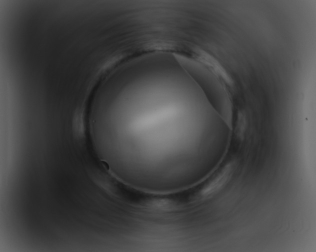 X0000095680203200801081235