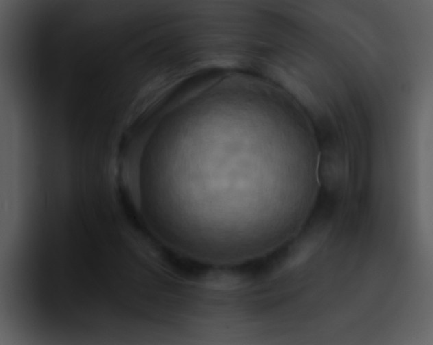 X0000095680207200801081235