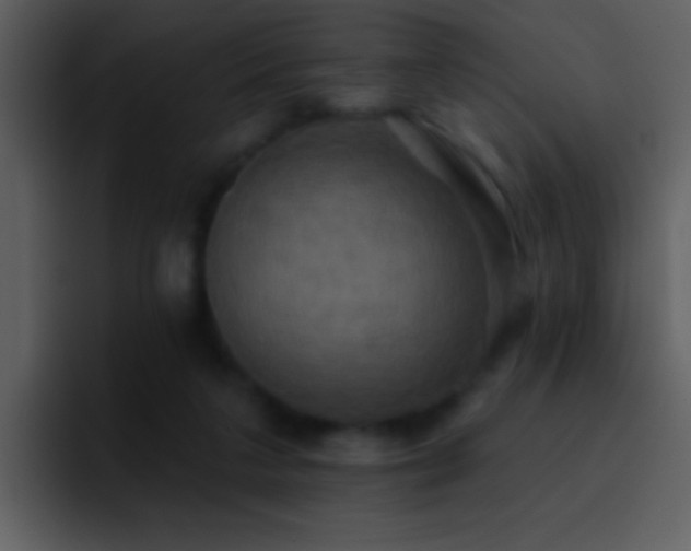 X0000095680211200801081235