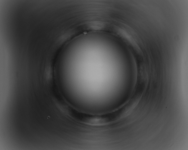 X0000095680212200801081235