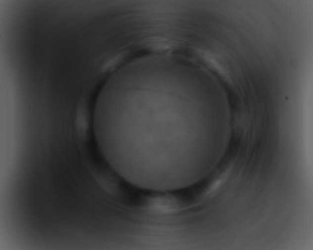 X0000095680215200801081235