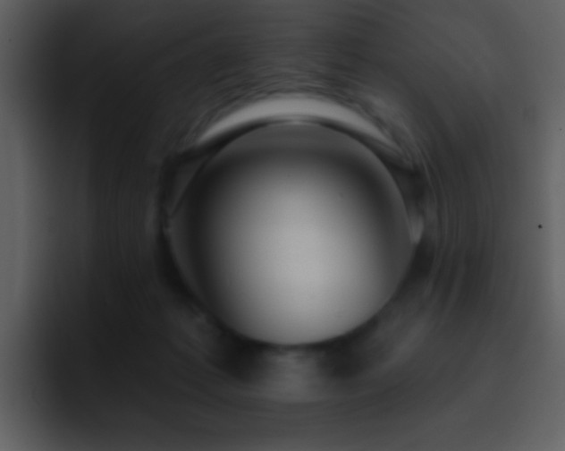 X0000095680221200801081235
