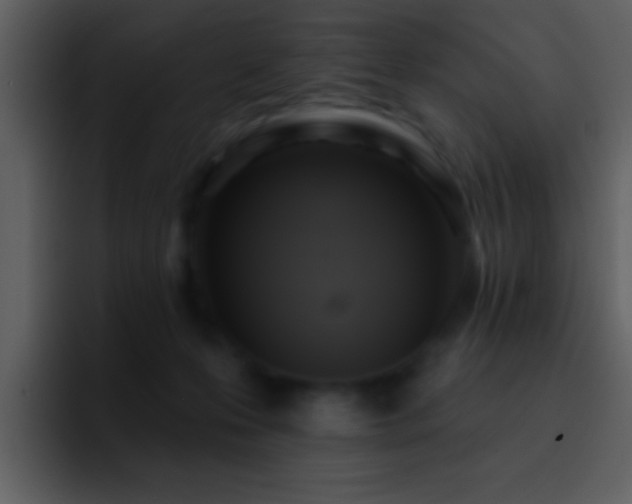 X0000095680223200801081235