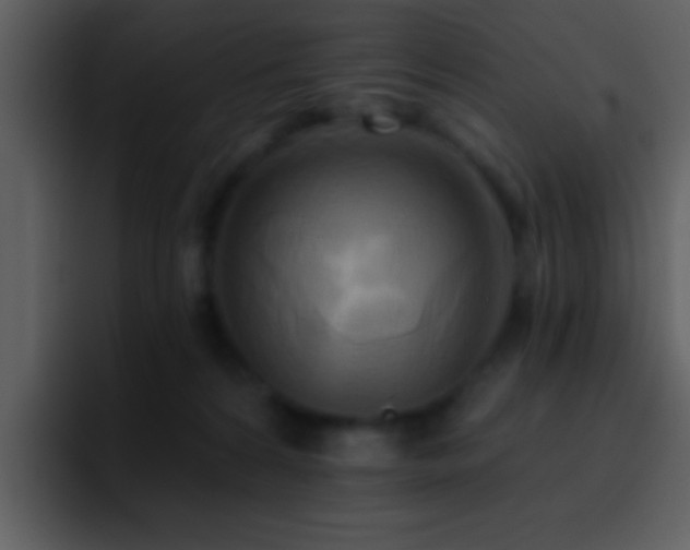 X0000095680224200801081235