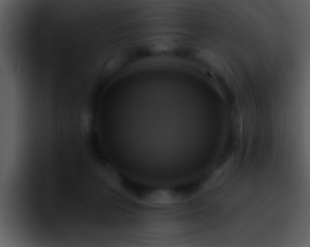 X0000095680227200801081235