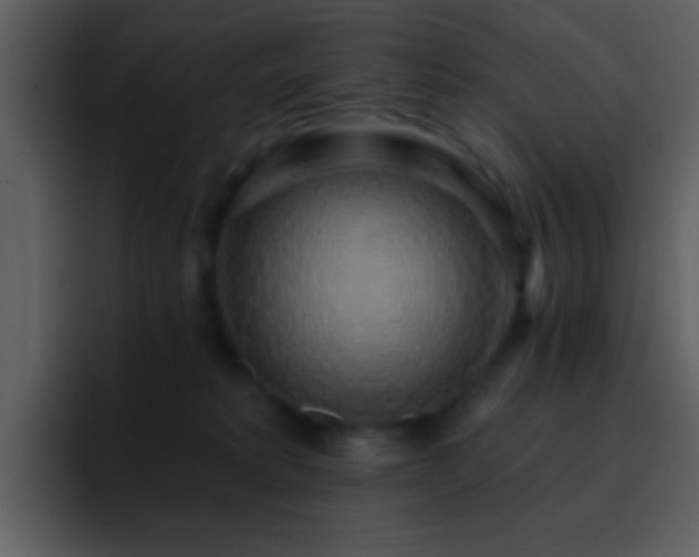 X0000095680229200801081235