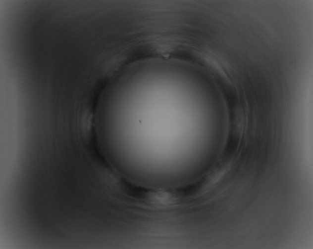 X0000095680230200801081235