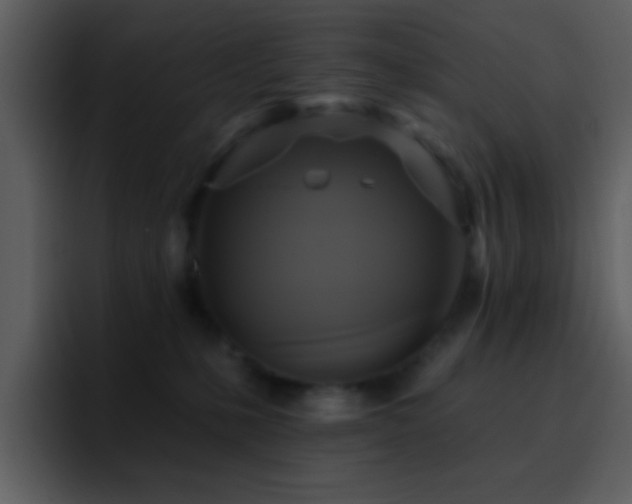 X0000095680231200801081235