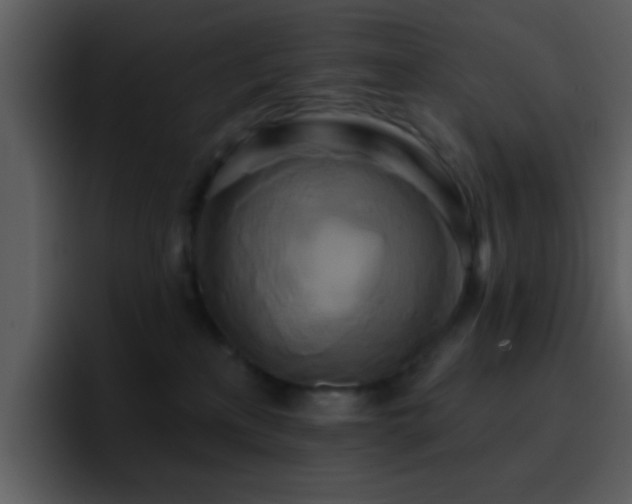 X0000095680233200801081235