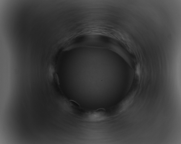 X0000095680235200801081235