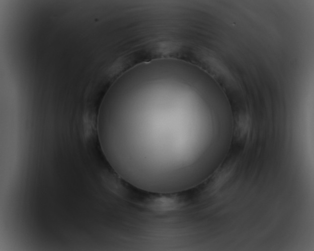 X0000095680236200801081235