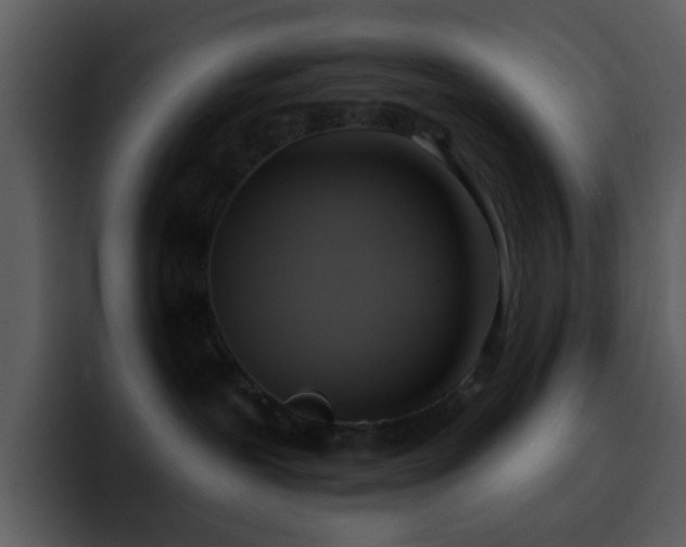 X0000095680239200801081235