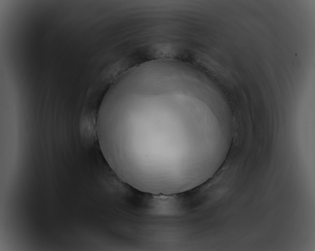 X0000095680240200801081235