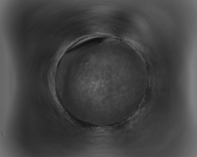 X0000095680241200801081234