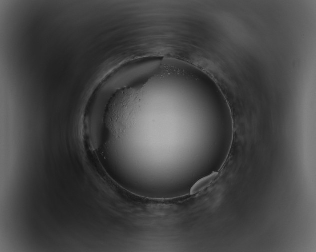 X0000095680242200801081234