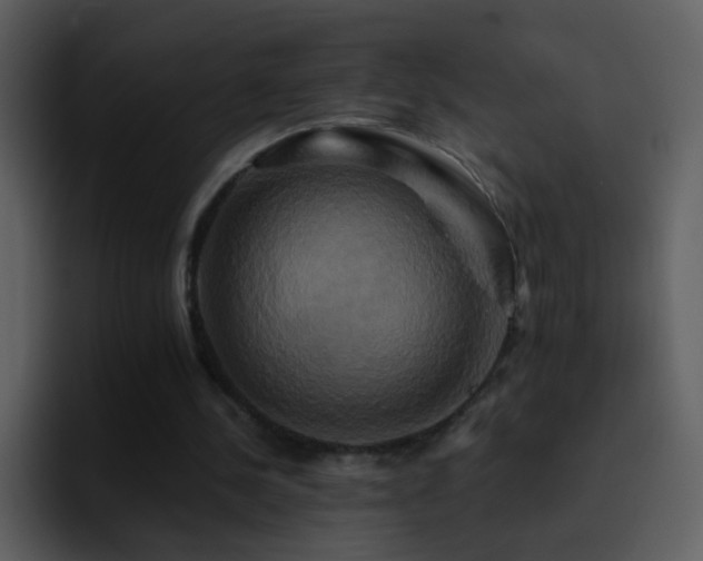 X0000095680244200801081234