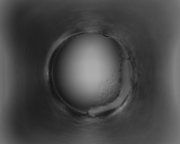 X0000095680246200801081234