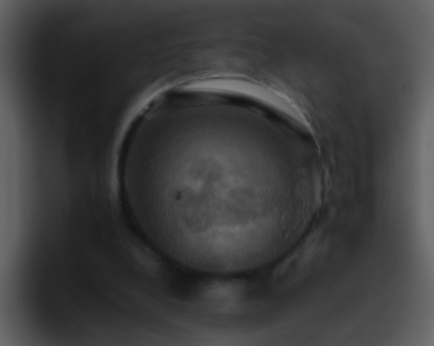 X0000095680248200801081234