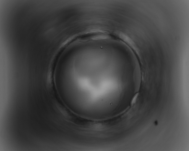 X0000095680249200801081234