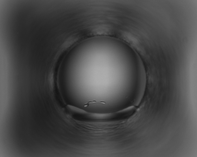 X0000095680250200801081234