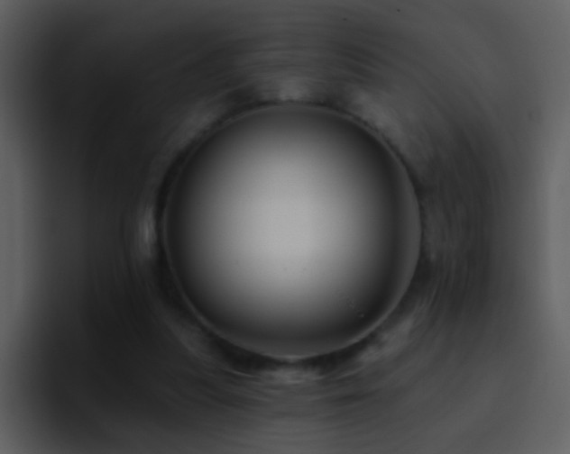 X0000095680251200801081234