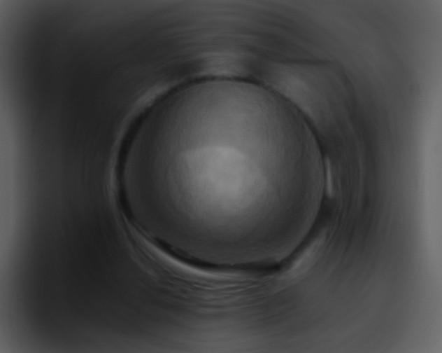 X0000095680252200801081234