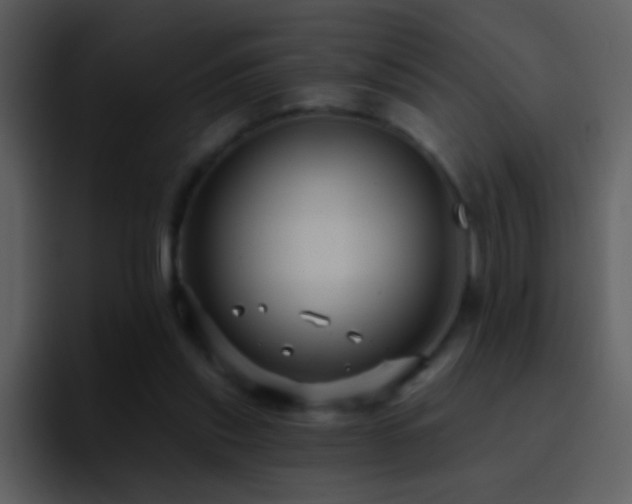 X0000095680253200801081234