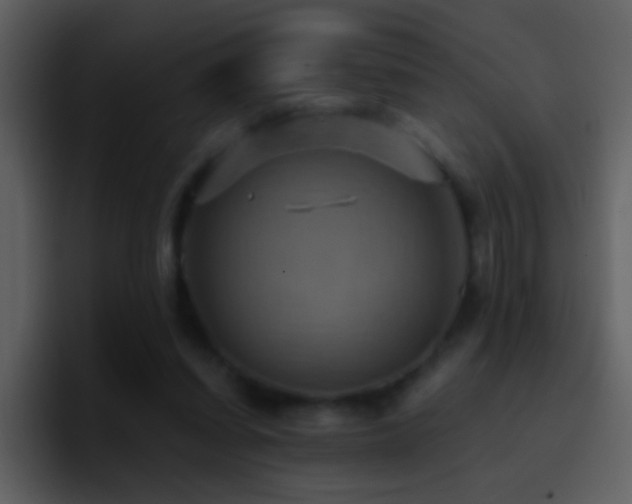 X0000095680254200801081234