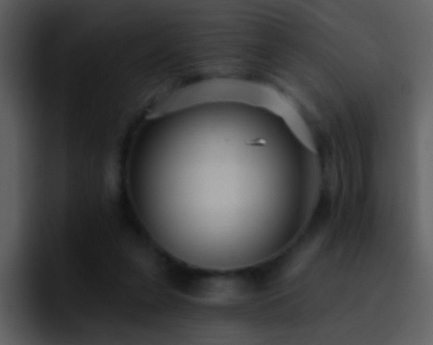 X0000095680255200801081234