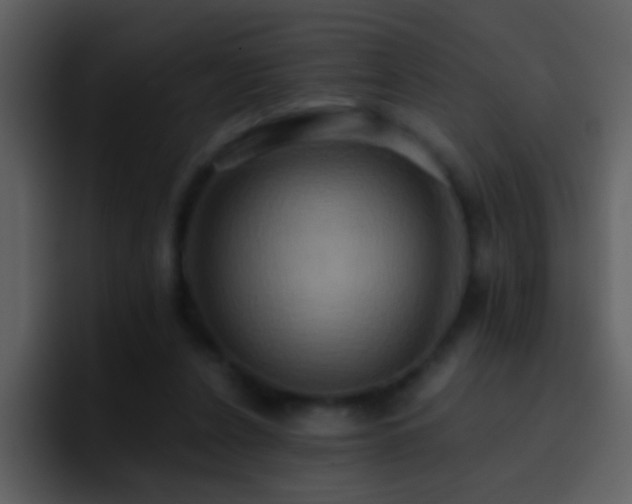 X0000095680256200801081234