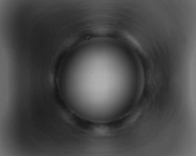 X0000095680258200801081234