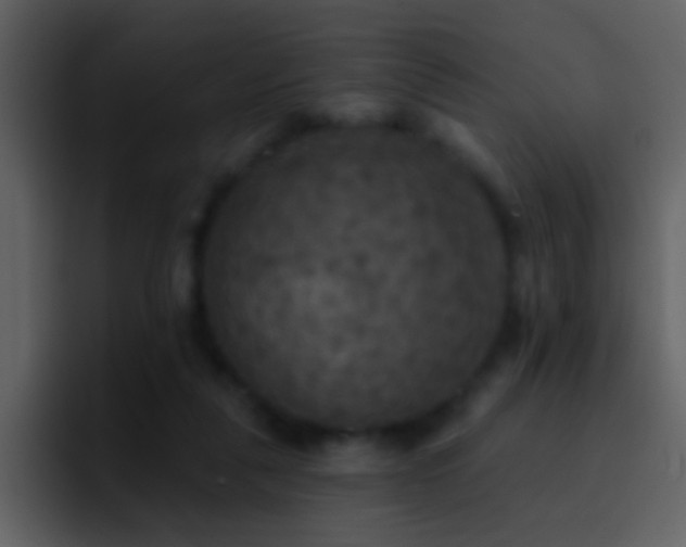 X0000095680259200801081234