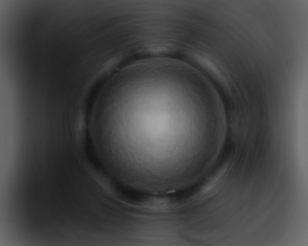 X0000095680260200801081234