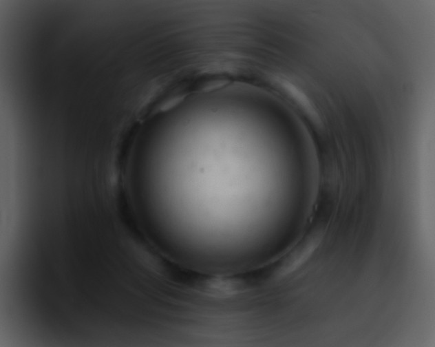 X0000095680261200801081234