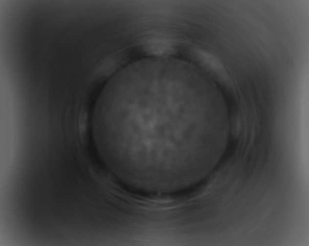 X0000095680263200801081235