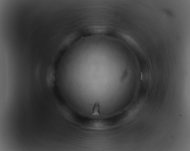 X0000095680264200801081235