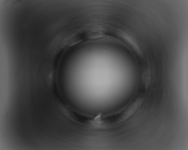 X0000095680265200801081235