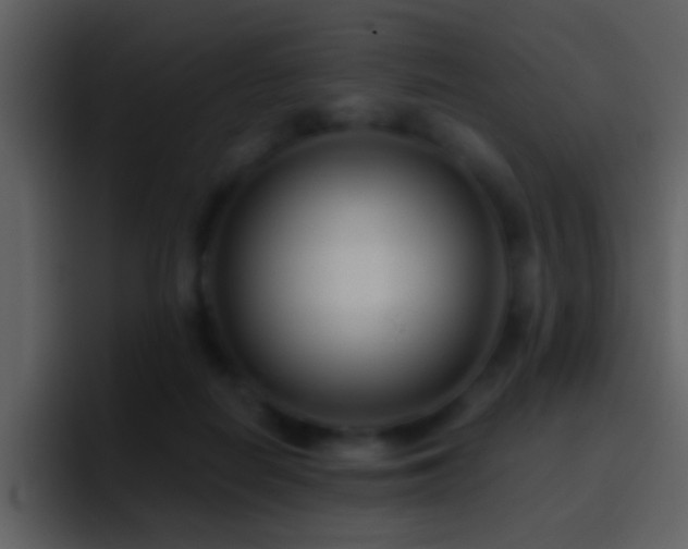 X0000095680266200801081235