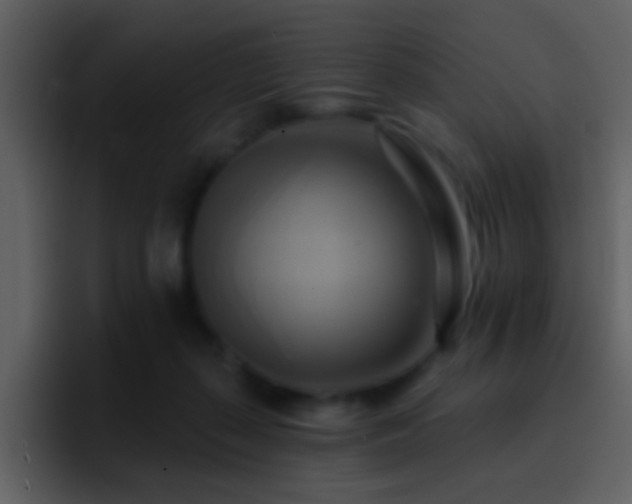 X0000095680267200801081235