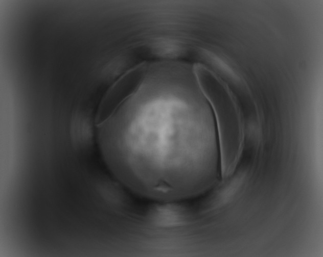X0000095680268200801081235