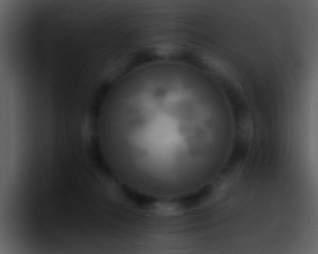 X0000095680272200801081235